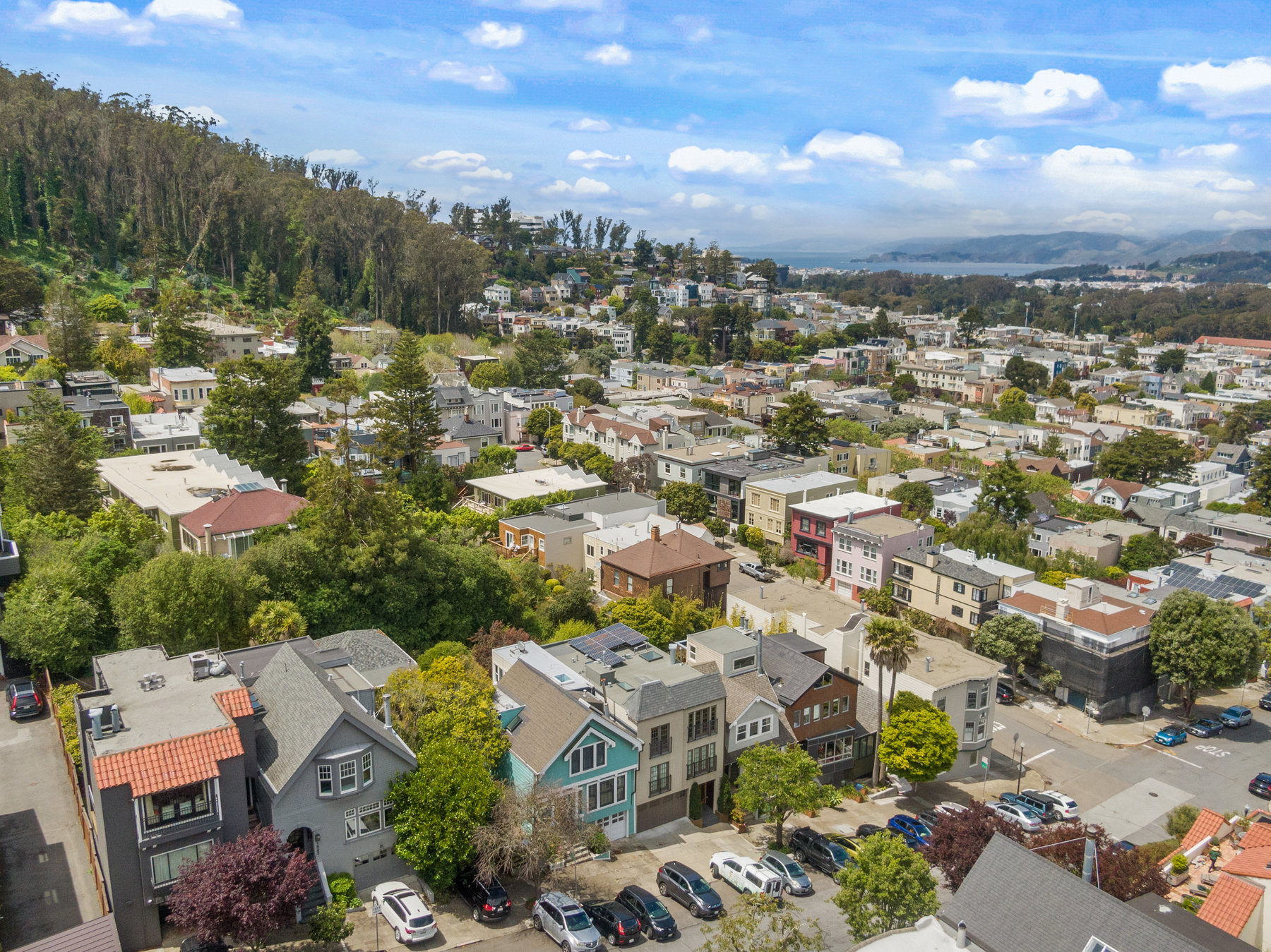 Property Photo: Aerial photo looking over Cole Street. You can see Sutro Forest at the back left corner.