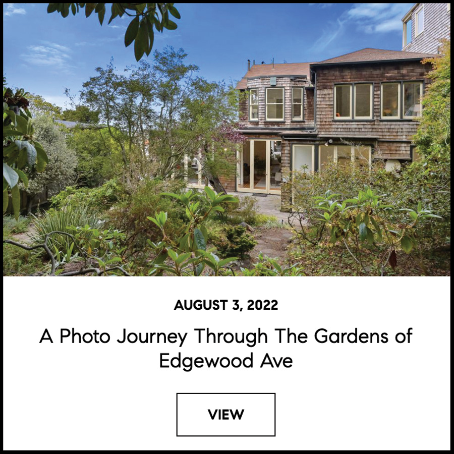 Screenshot of a blog article about a photo journey through the gardens of Edgewood Ave