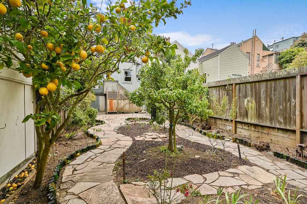 Property Photo: Exterior view of the outdoor space, featuring a lemon tree and stone path