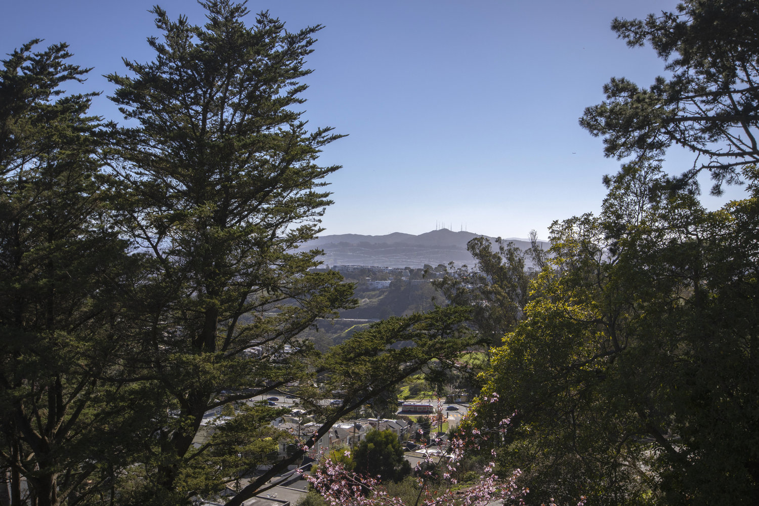 Property Photo: A leafy woodland view of San Francisco as seen from the lower deck at 156 Midcrest