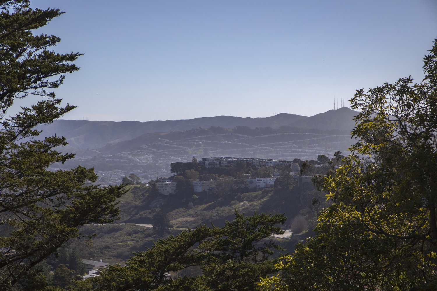 Property Photo: Hilly wooded views of San Francisco as seen from 156 Midcrest, presented by John DiDomenico