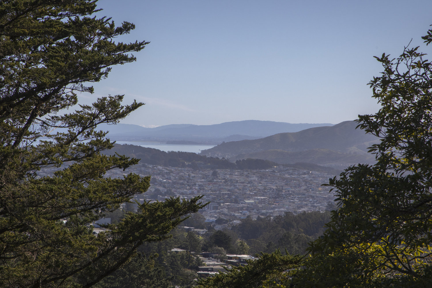 Property Photo: San Francisco cityscape, with views of lush trees and San Francisco Bay beyond