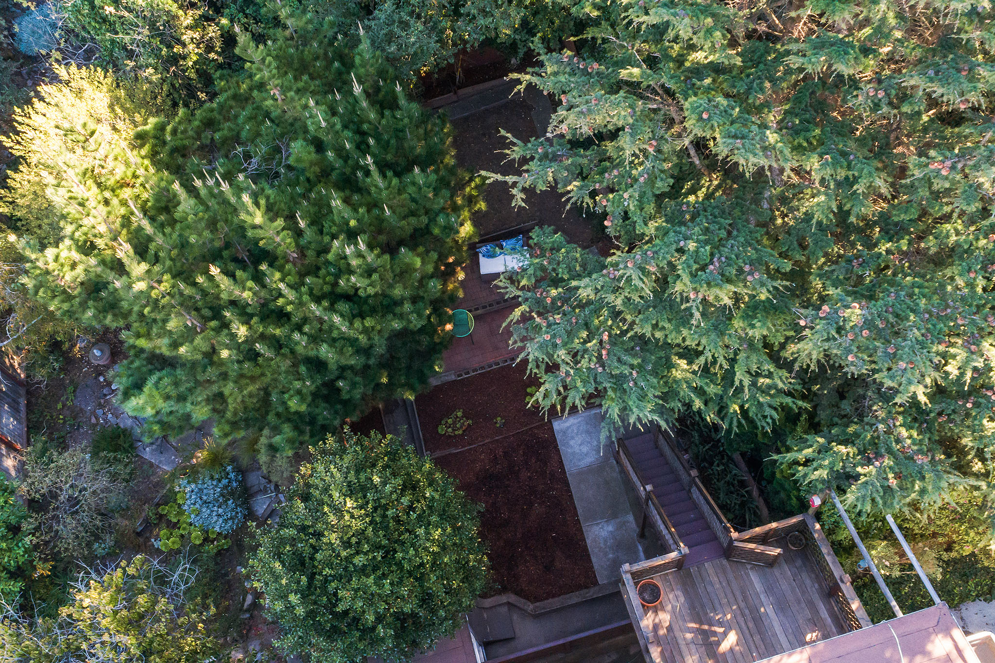 Property Photo: Aerial view of the tree covered yard