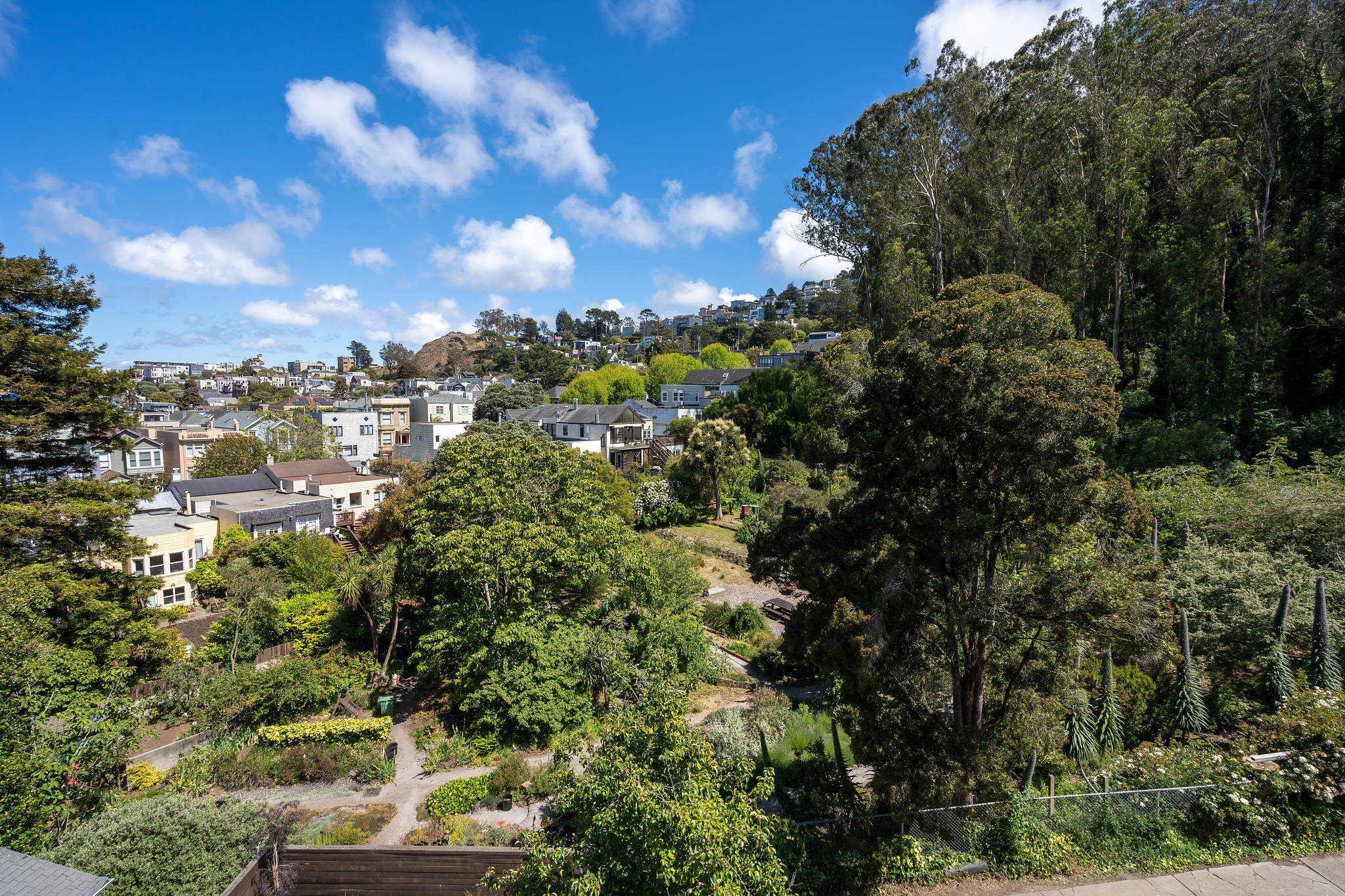 Property Photo: A view of Sutro Forrest and neighborhood homes from the deck at 117 Woodland Ave