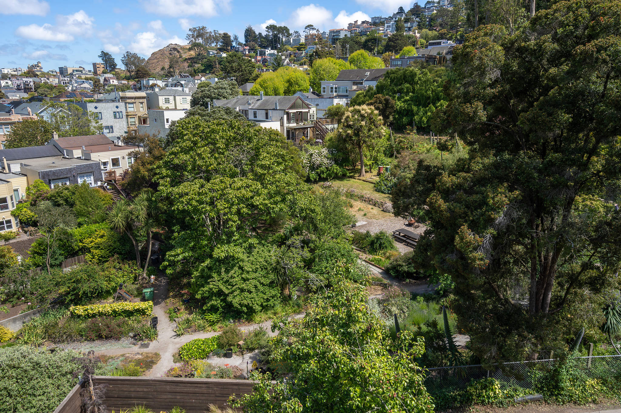 Property Photo: A view of a neighboring garden with trees and paths
