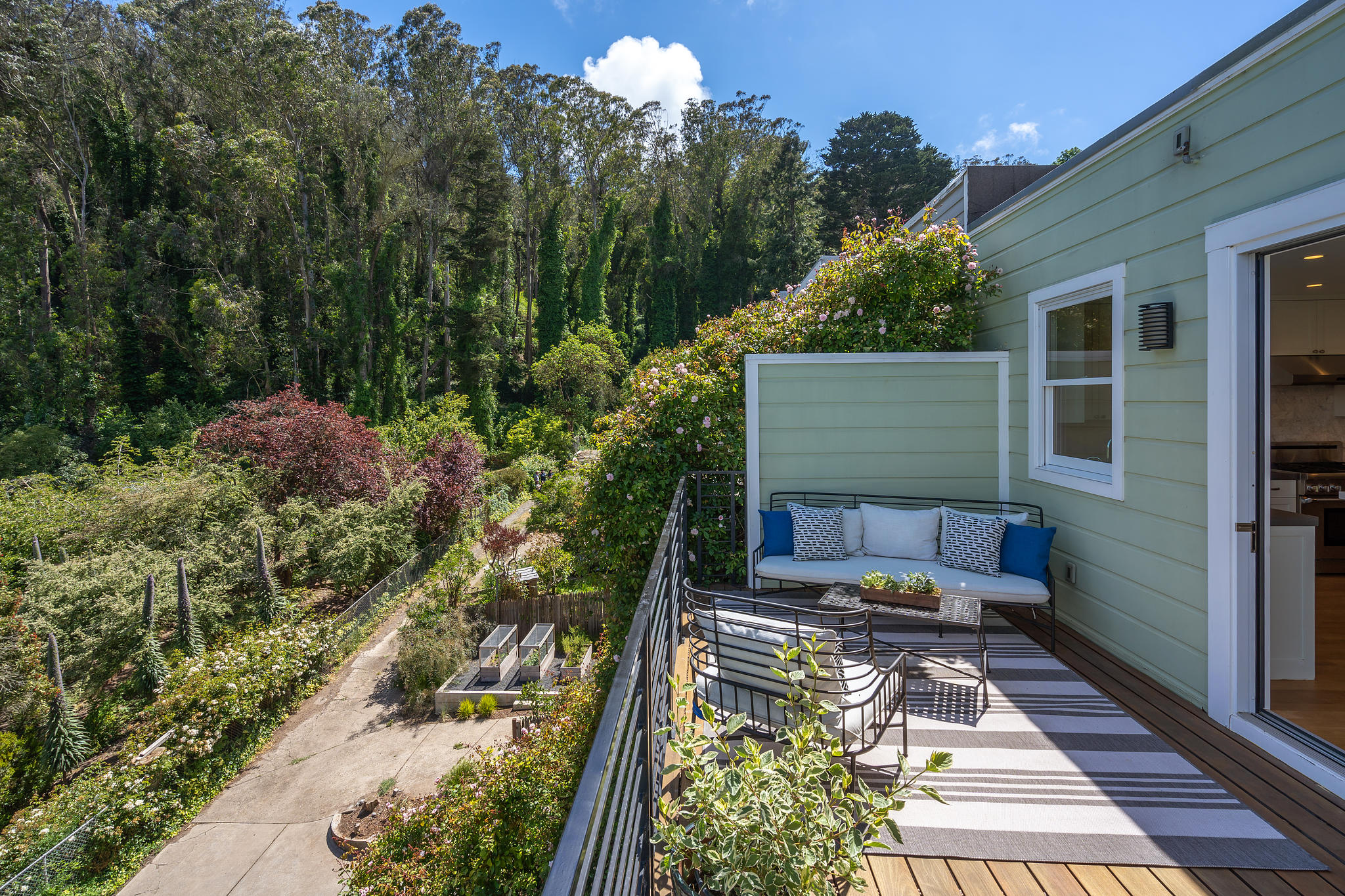 Property Photo: View of Sutro Forrest from the upper deck