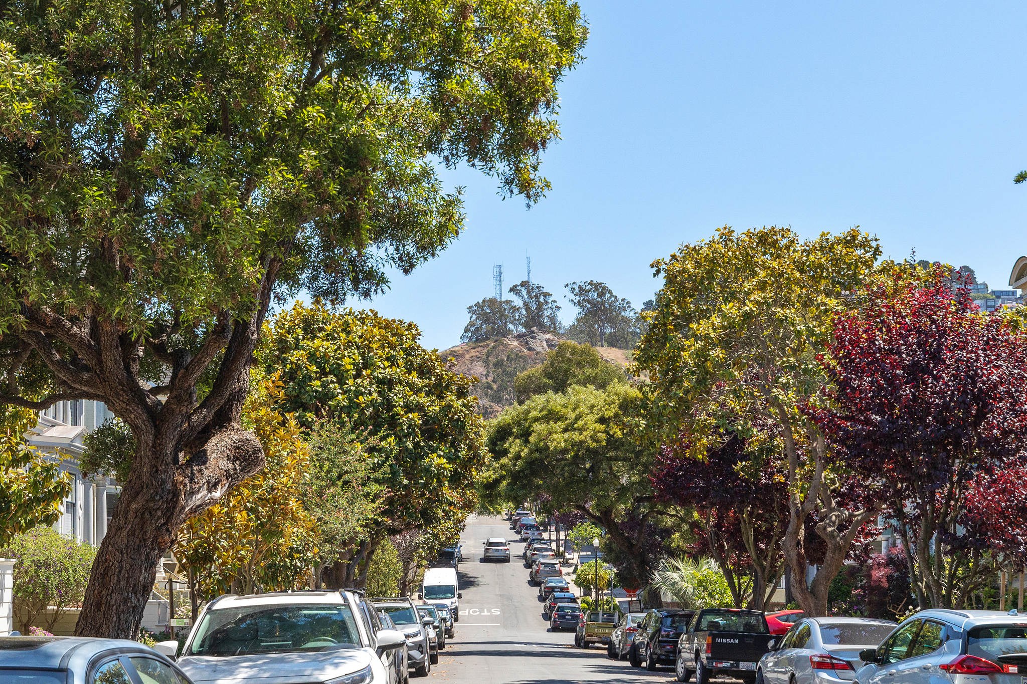 Property Photo: A street lined with trees
