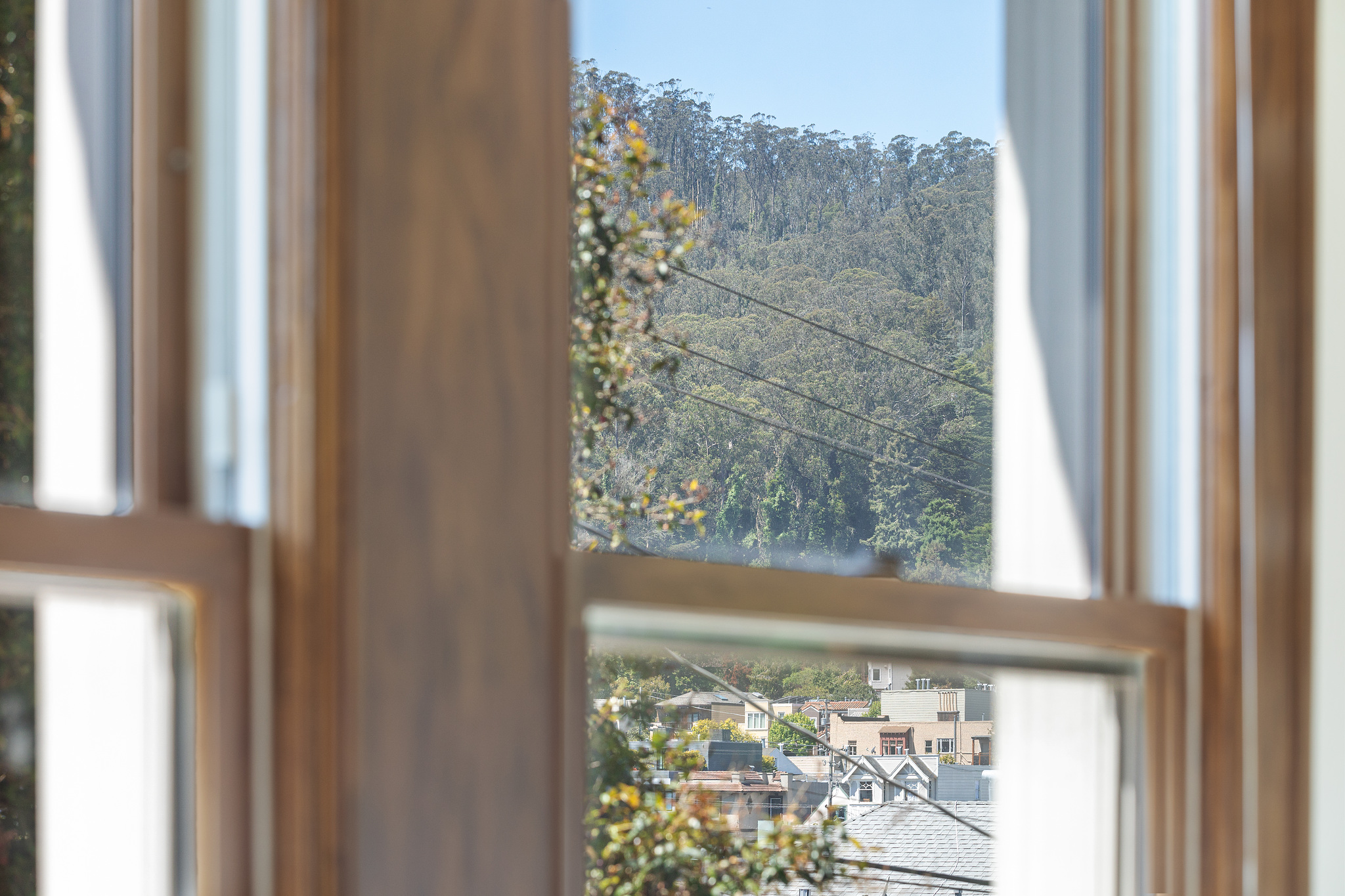 Property Photo: View from the window at 38 Parnassus Avenue