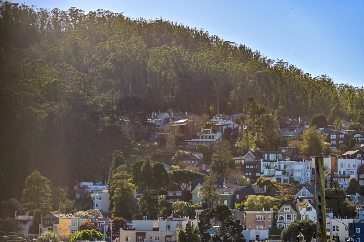 Property Photo: View of Cole Valley as seen from the primary bedroom