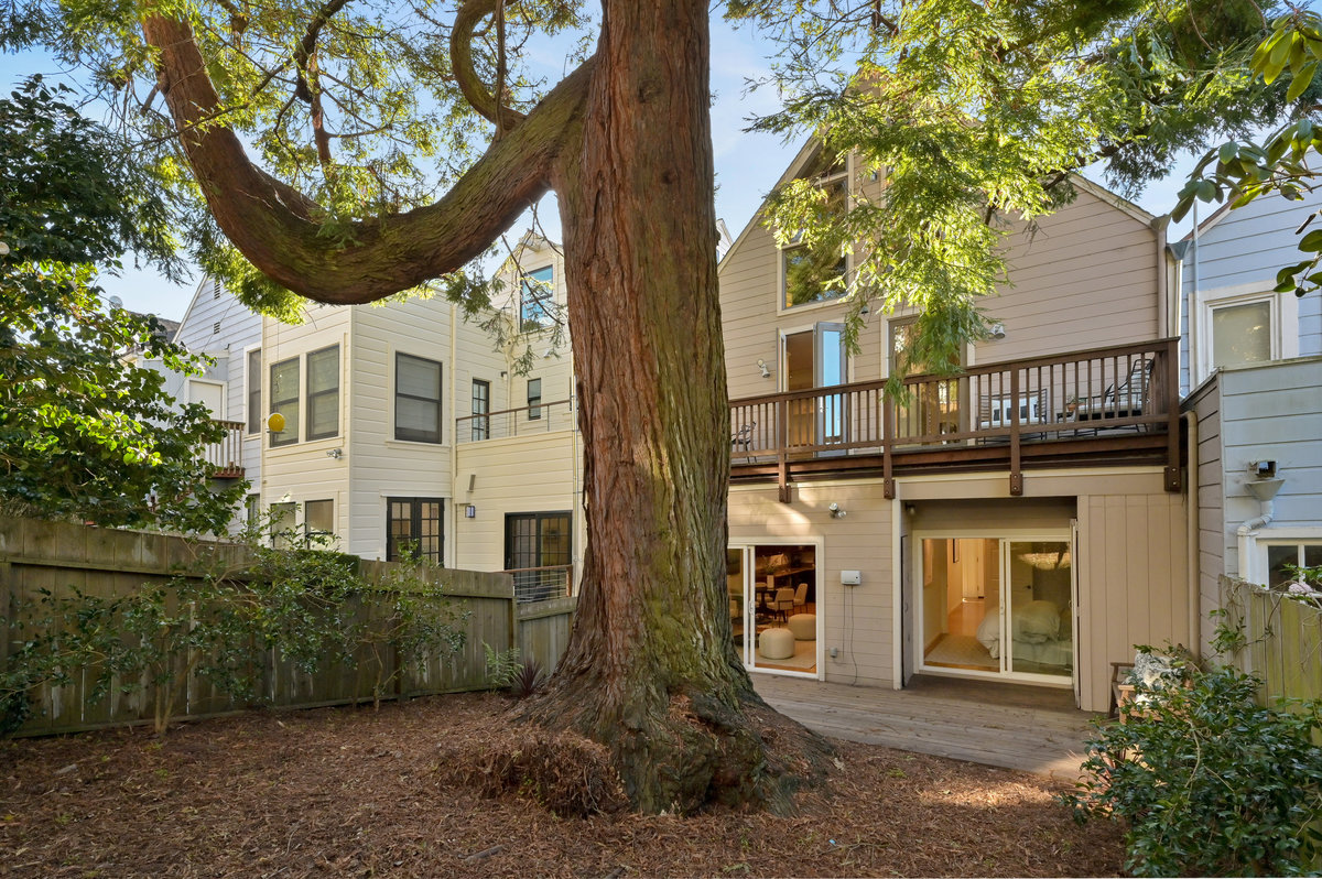 Property Photo: Rear exterior view of 856 Clayton, showing a large tree, and two decks