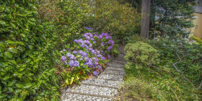 Property Photo: View of a stone path and lush plants