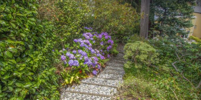 Property Thumbnail: View of a stone path and lush plants