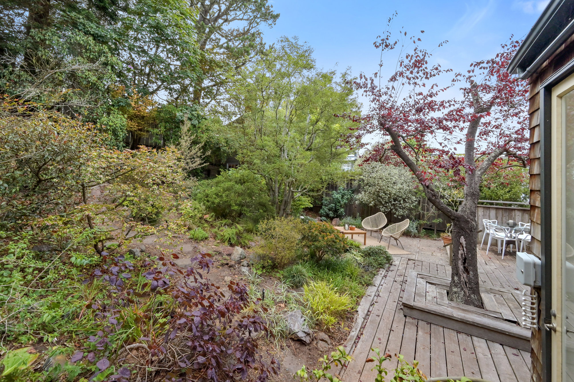 Property Photo: View of the rare trees found in the gardens at 183 Edgewood Avenue in Cole Valley San Francisco