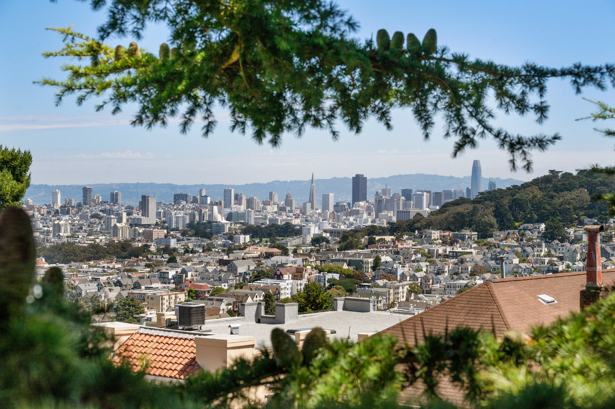 Property Photo: San Francisco and the bay