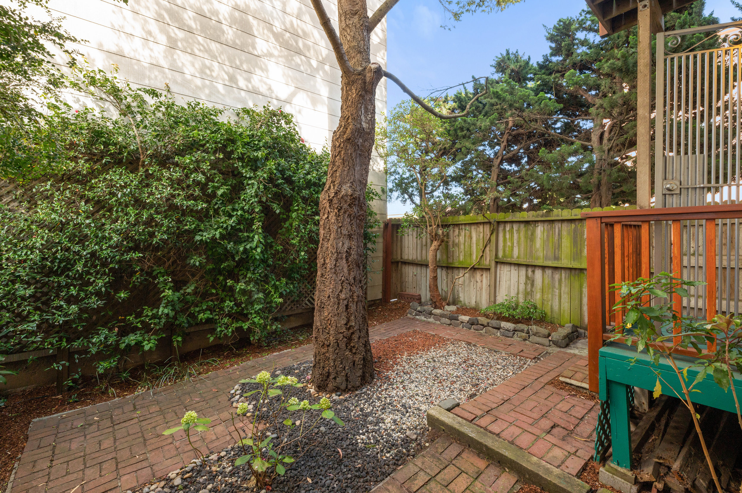 Property Photo: View of the private outdoor living area with a tree