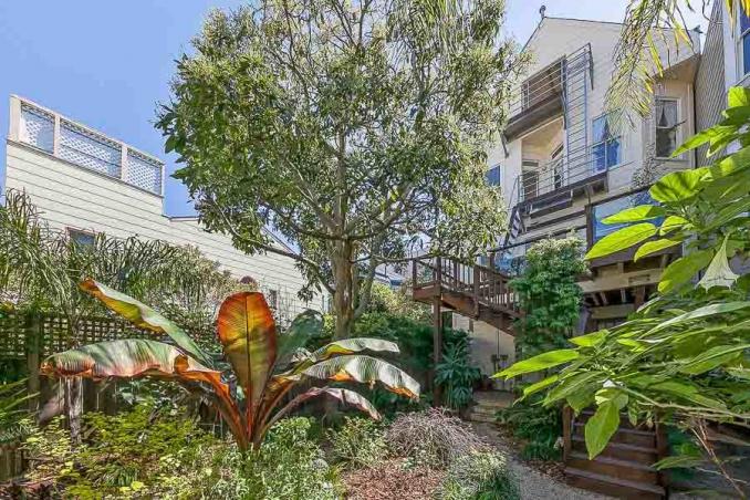 Property Thumbnail: Rear view of 210 Frederick Street, showing the diverse plants and trees
