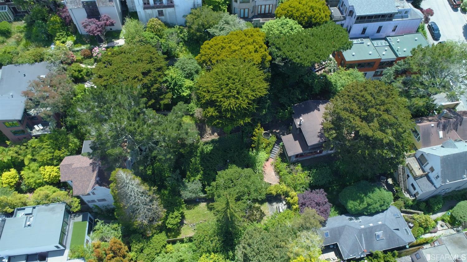 Property Photo: Aerial view of 1284 Stanyan Street, showing a wooded area surrounding a home