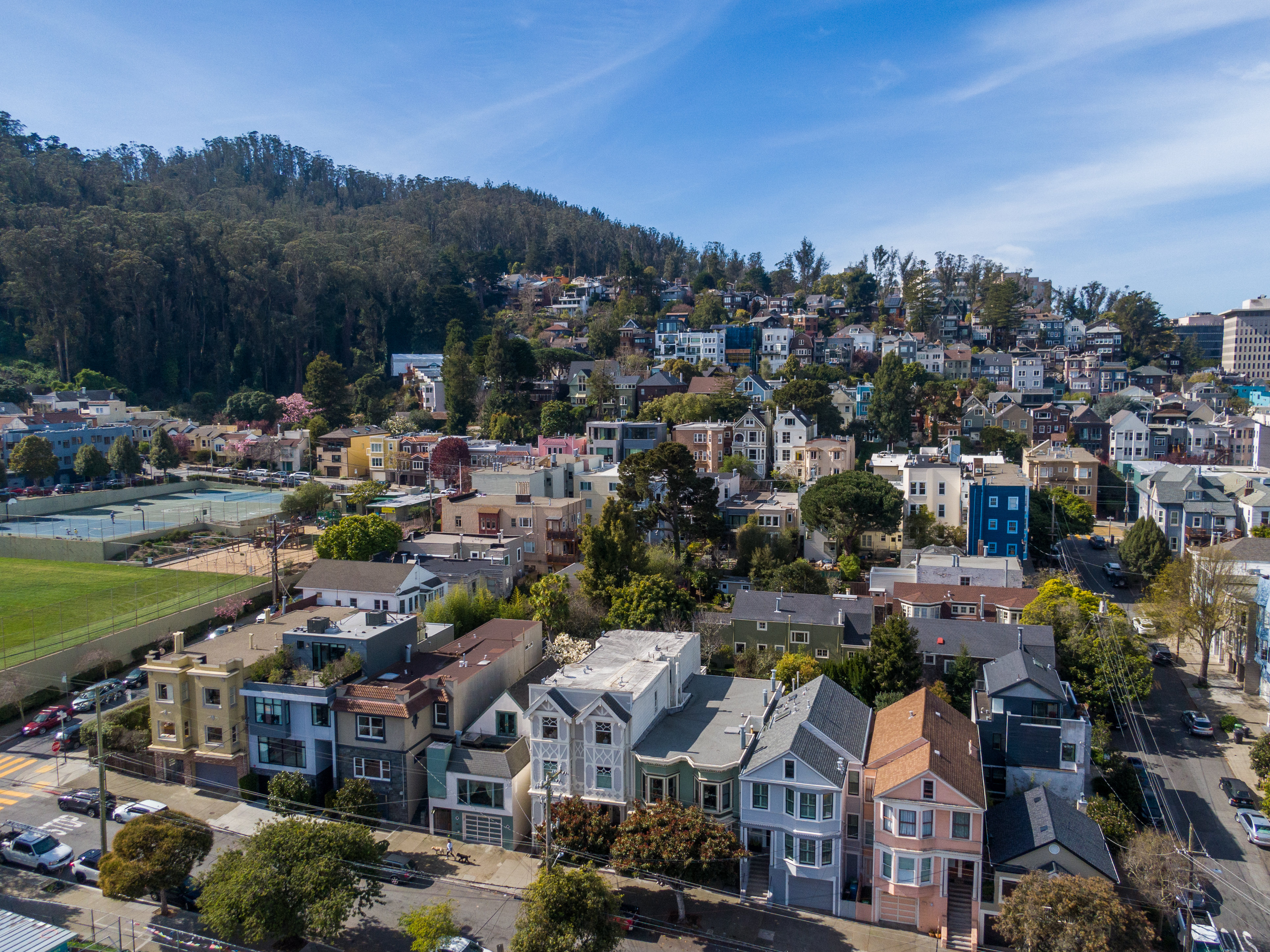 Aerial view of Golden Gate Park and San Francisco Bay showing rows of beautiful homes